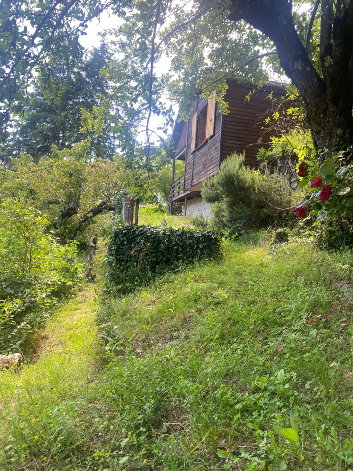 Chalet Les Accacias Vocance Exterior photo